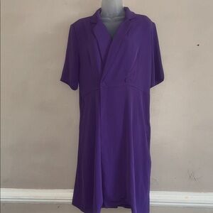 Ovi Purple Asymmetrical Dress